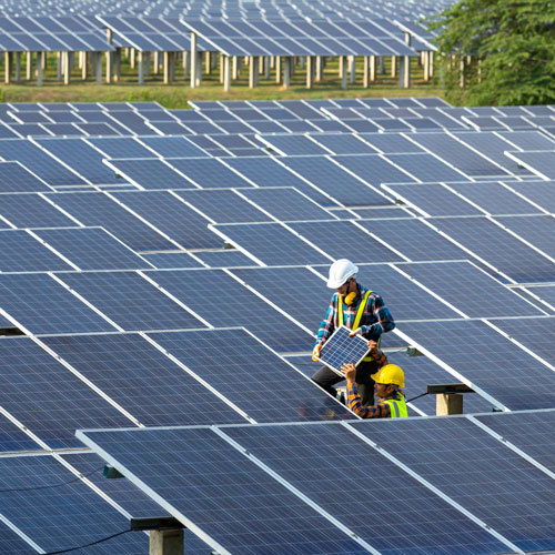 man installing solar panels on a solar farm